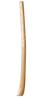 Medium Size Natural Finish Didgeridoo (TW1282)
